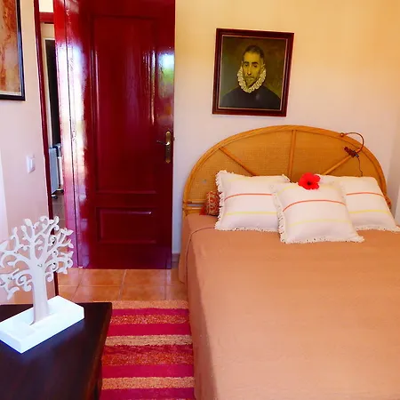 Rosalva فندق Punta Brava